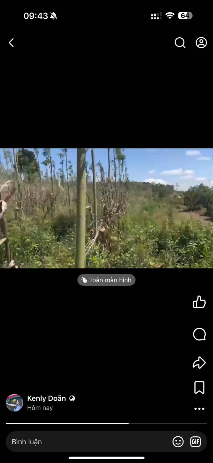 Trang trại Đức An 3060m² - Sổ đỏ chính chủ vụ cafe