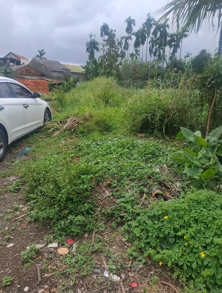 Đất Phong Niên Hạ Tịnh Phong 113m² 4xx triệu - Đất thổ cư