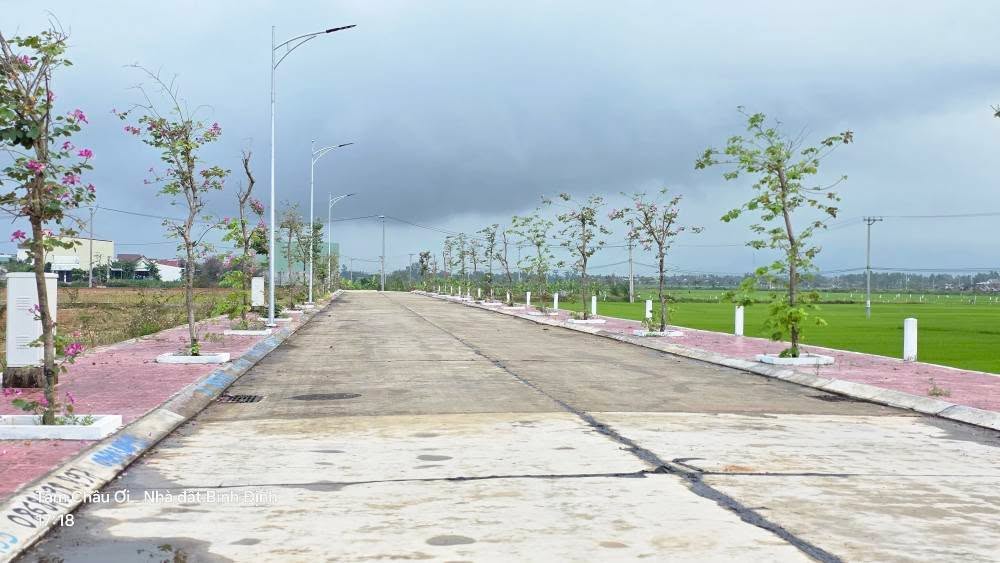 Đất nền DT636 An Nhơn 100m² 700 triệu - Sổ hồng chính chủ