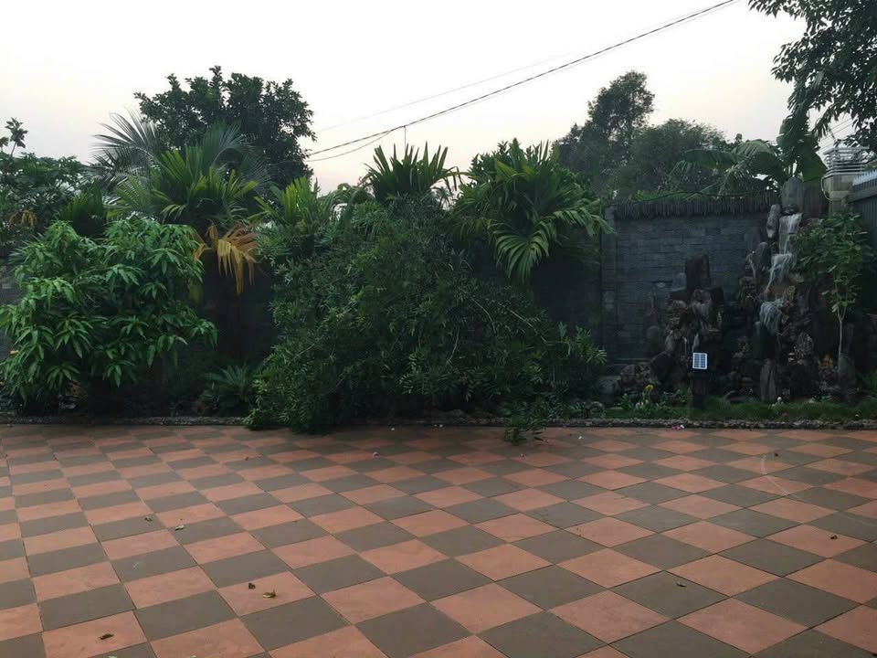 Biệt thự Hòa Xuân BMT 2.000m² 10.5 tỷ - Ô tô vào nhà