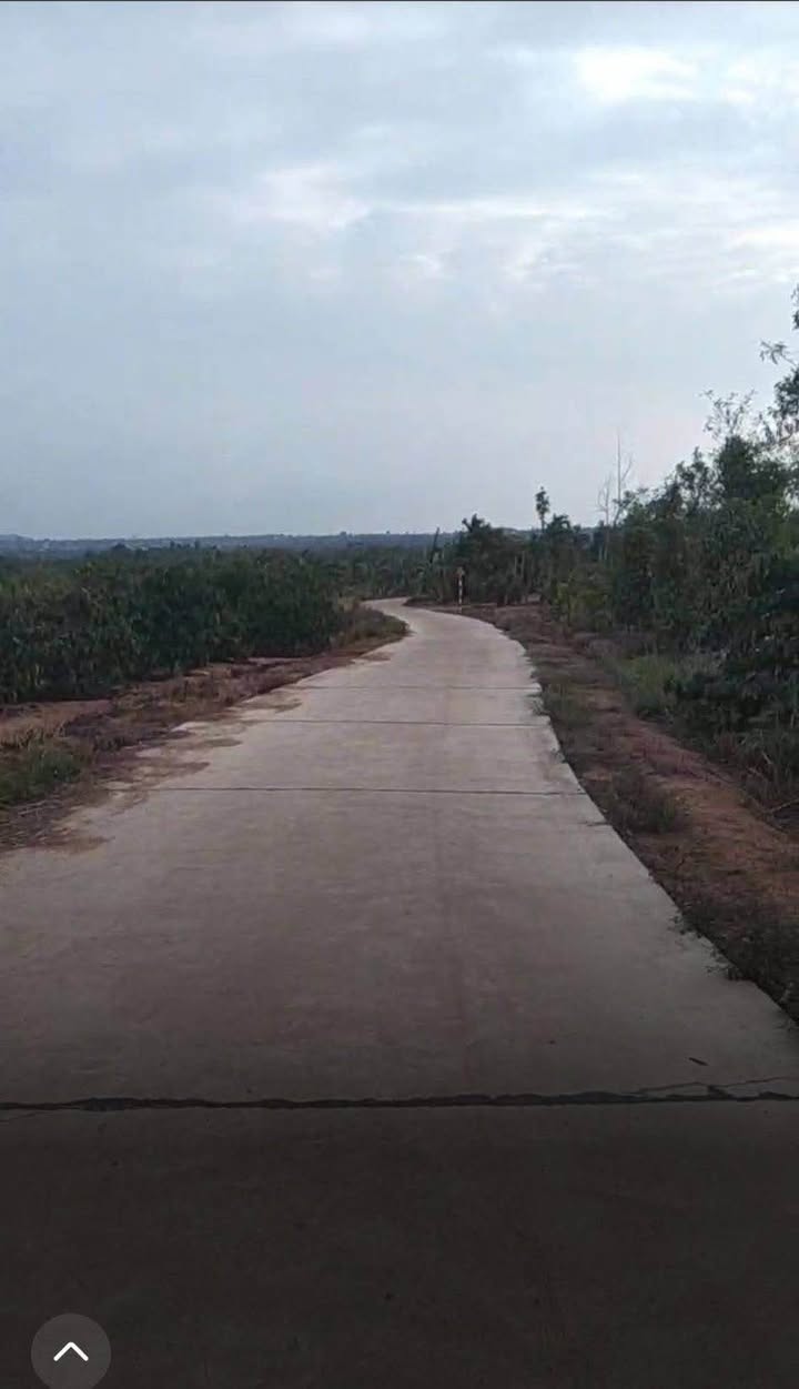 Đất Vườn Phú Yên 10000m² - Mặt Tiền Bê Tông Lớn, Giá 1.8 Tỷ