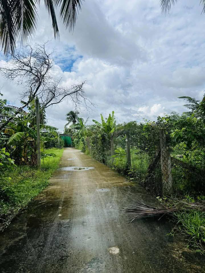 Đất nền Ấp Mỹ Kim Sơn 180m² 320 triệu - Sổ đỏ chính chủ