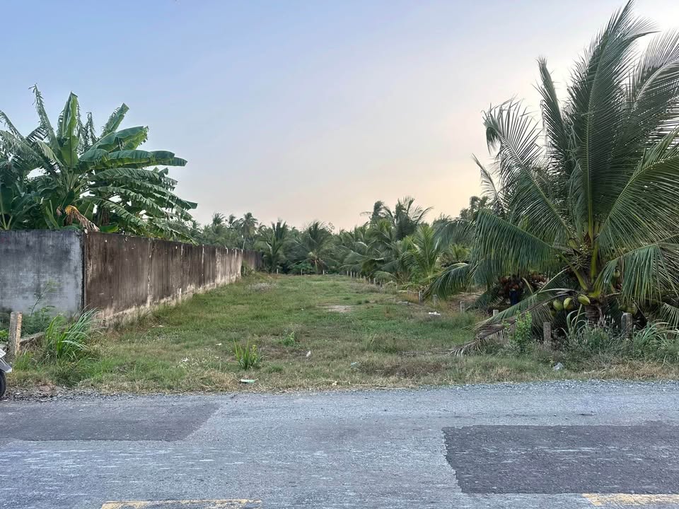 Đất Vàng Gò Công Tây 450m² - Sổ Đỏ, Gần Chợ, Trường Học - Giá 1.35 Tỷ