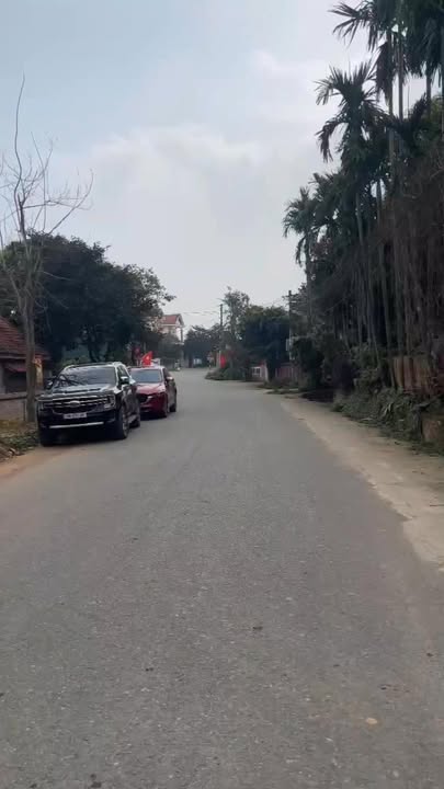 Đất Tam Nông Phú Thọ 289m² 1.6 tỷ - Sổ đỏ chính chủ