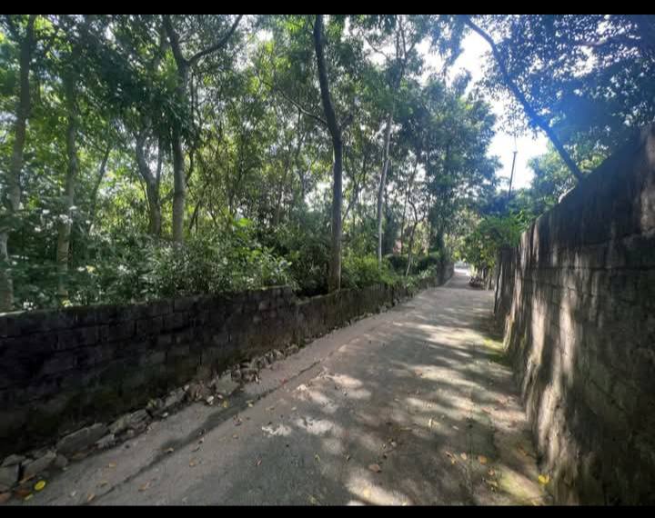 Đất nền Ninh Khang Vĩnh Lộc 347m² 5xx tr - Sổ đỏ chính chủ