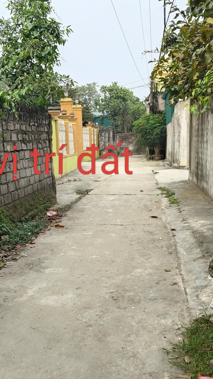 Đất thổ cư Thạch Tổ 190m² 1 tỷ - Sổ đỏ chính chủ