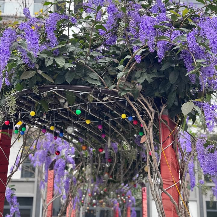 Townhouse Habour Center Lê Lai 78m² 12 tỷ - Đầu tư sinh lời