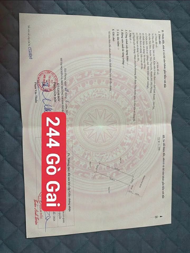 Đất nền 100m² Gò Gai - Thủy Nguyên, Hải Phòng - Vị trí kinh doanh đắc địa