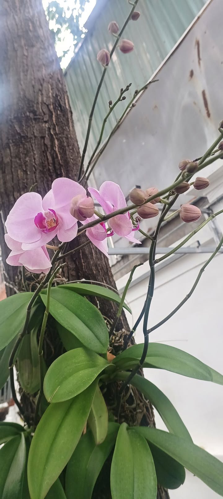 Nhà Mặt Tiền 30/4 Rạch Dừa, 232m² - Kinh Doanh Đắc Địa, Giá 12.5 Tỷ