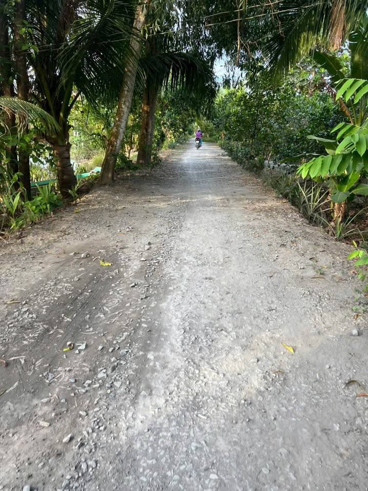 Đất Vườn Cần Thơ 2100m² - Đầu Tư Sinh Lời 1.03 Tỷ