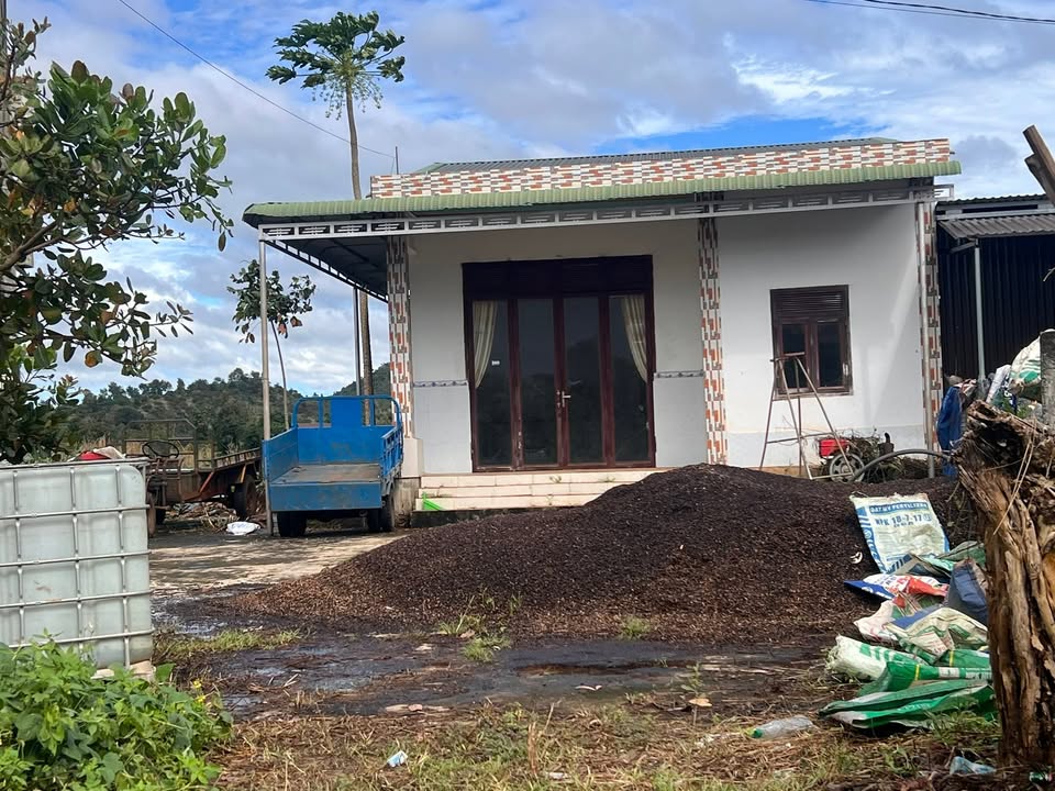 Bán gấp nhà cấp 4 mặt đường nhựa Ea Lê, Đắk Lắk - 319m² thổ cư, giá 750 triệu