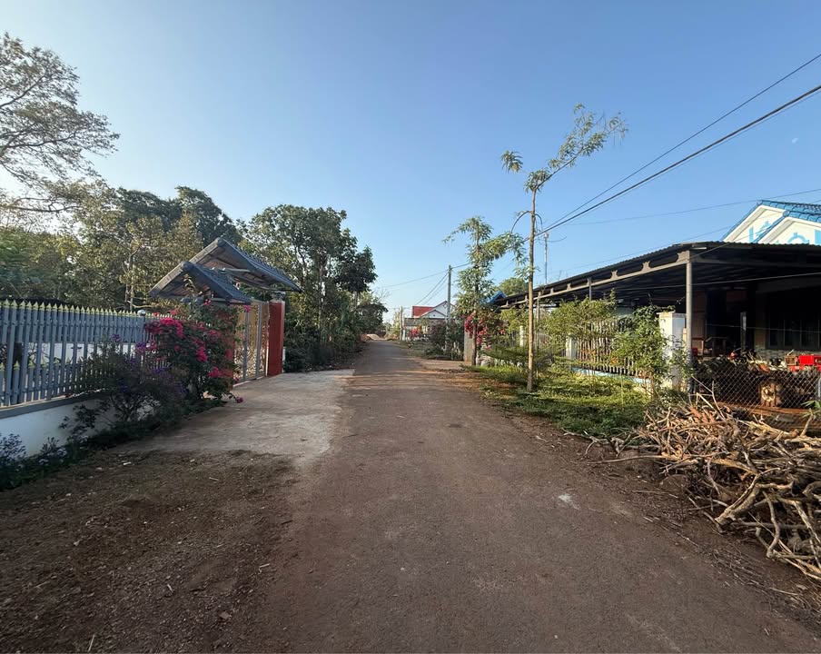Bán Đất Buôn Ma Thuột 750m² - Mặt Tiền Đường Nhựa, Giá 1.48 Tỷ