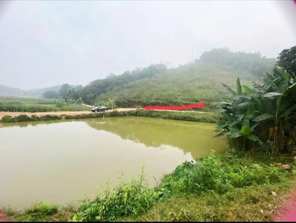 Đất nền Xã Minh Hòa, Yên Lập 1588m² giá 150 triệu - Sổ đỏ chính chủ!