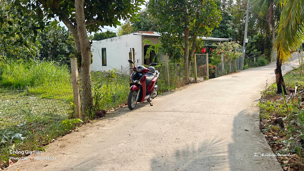 Bán Đất 235m² Phong Điền Cần Thơ - Sổ Hồng Sẵn Sàng, Giá 700 Triệu