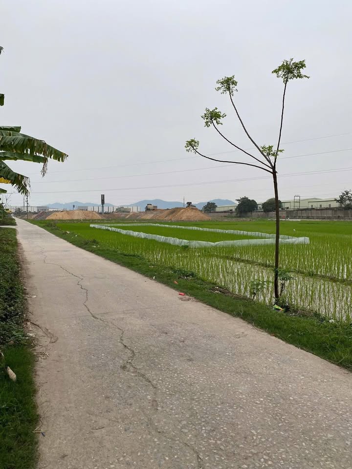 Đất nền Bắc Giang Tiền Phong 100m² 2 tỷ - Sổ đỏ chính chủ