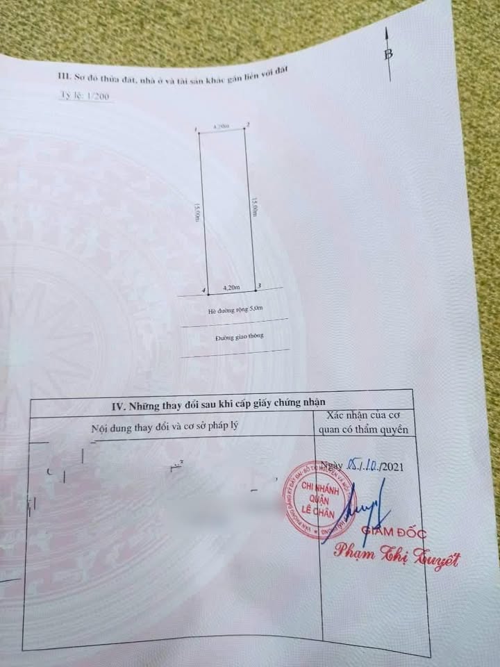 Đất Mặt Đường Bùi Viện, An Biên, Hải Phòng - 63m² Kinh Doanh Đắc Lộc