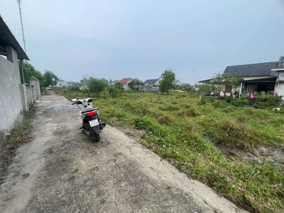 Đất Nền Phú Vang 384m² - Tách 3 Lô, Giá Hời 1.x Tỷ