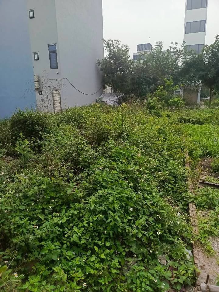 Bán đất Thúy Lĩnh 30m² - Sổ đỏ riêng, giá 3.6 tỷ - Ngõ đẹp, không QH