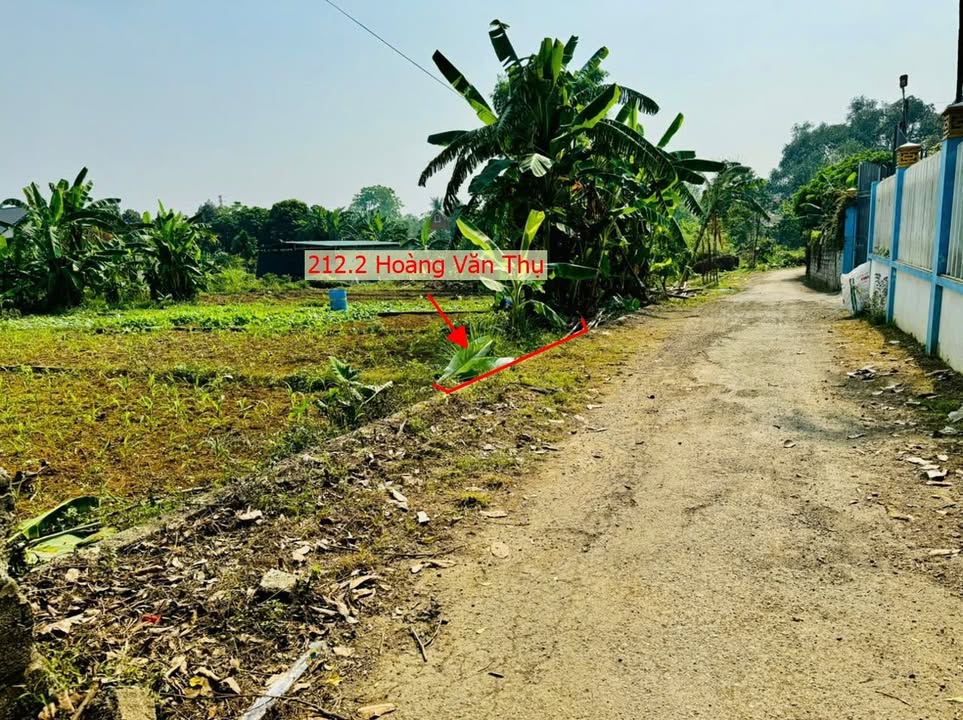 Đất Vườn Hoàng Văn Thụ - Chương Mỹ 212m² - Sổ Thổ Cư, Giá Đầu Tư!