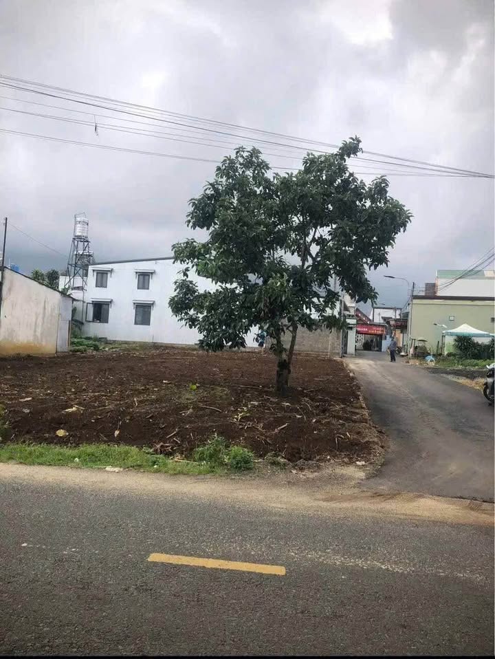 Đất Nguyễn Hữu Chỉnh Nhơn Trạch 318m² 6.5 tỷ - Sổ đỏ chính chủ