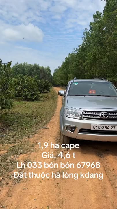 Farm 1.9ha Gia Lai - 1000 Cây Ăn Trái, Kinh Doanh Hái Lộc 4.6 Tỷ