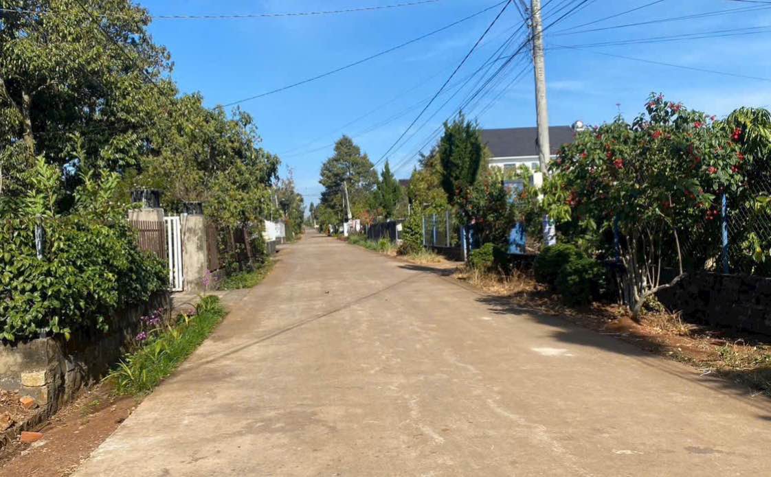 Đất nền Đà Lạt P.8 1.000m² 4,2 tỷ - Sổ đỏ thổ cư