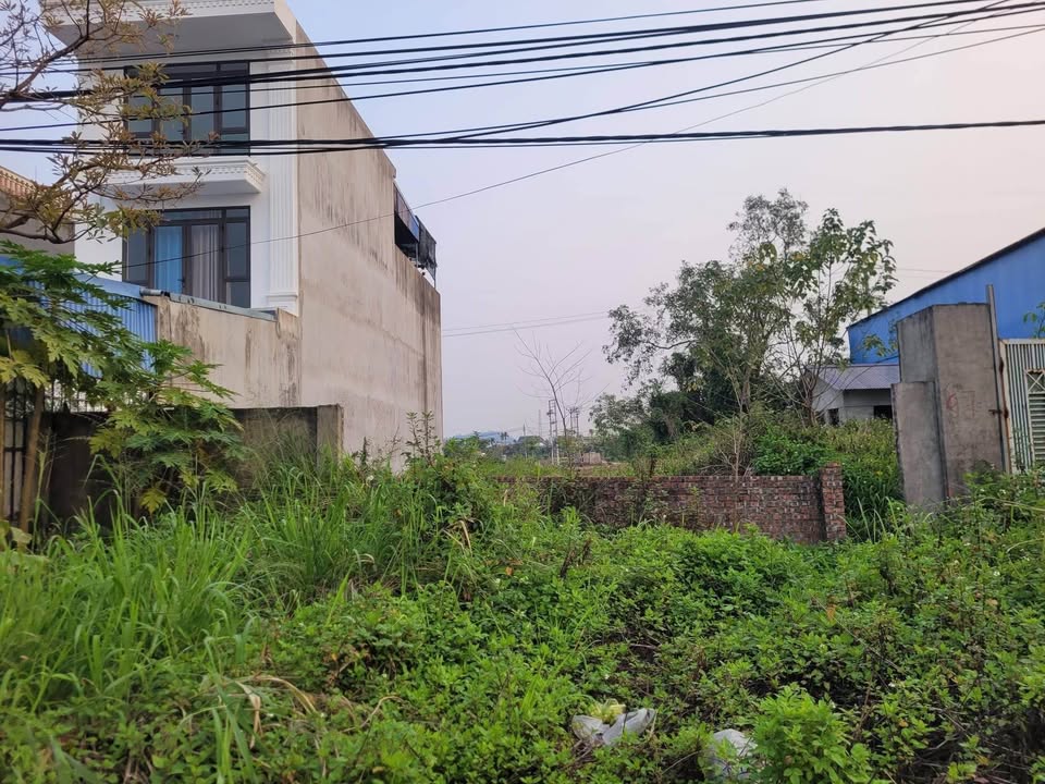 Đất nền An Kim Hải An Dương 100m² 9,7 tỷ - Hạ tầng hoàn thiện