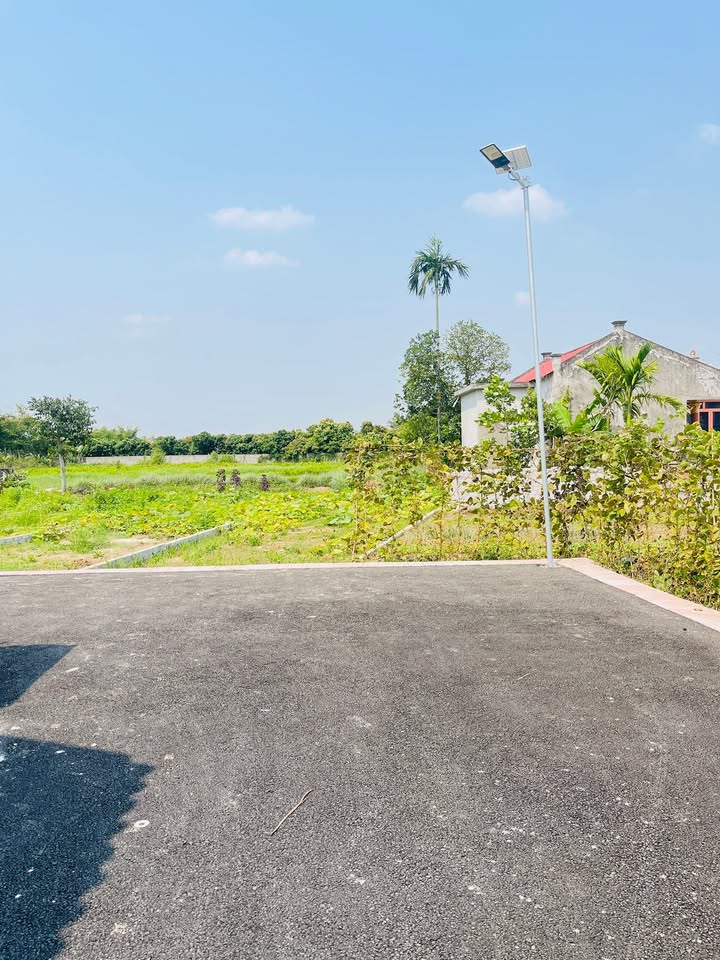 Đất nền MT đường nhựa 80m² tại An Lão, Hải Phòng - Giá 8xx triệu