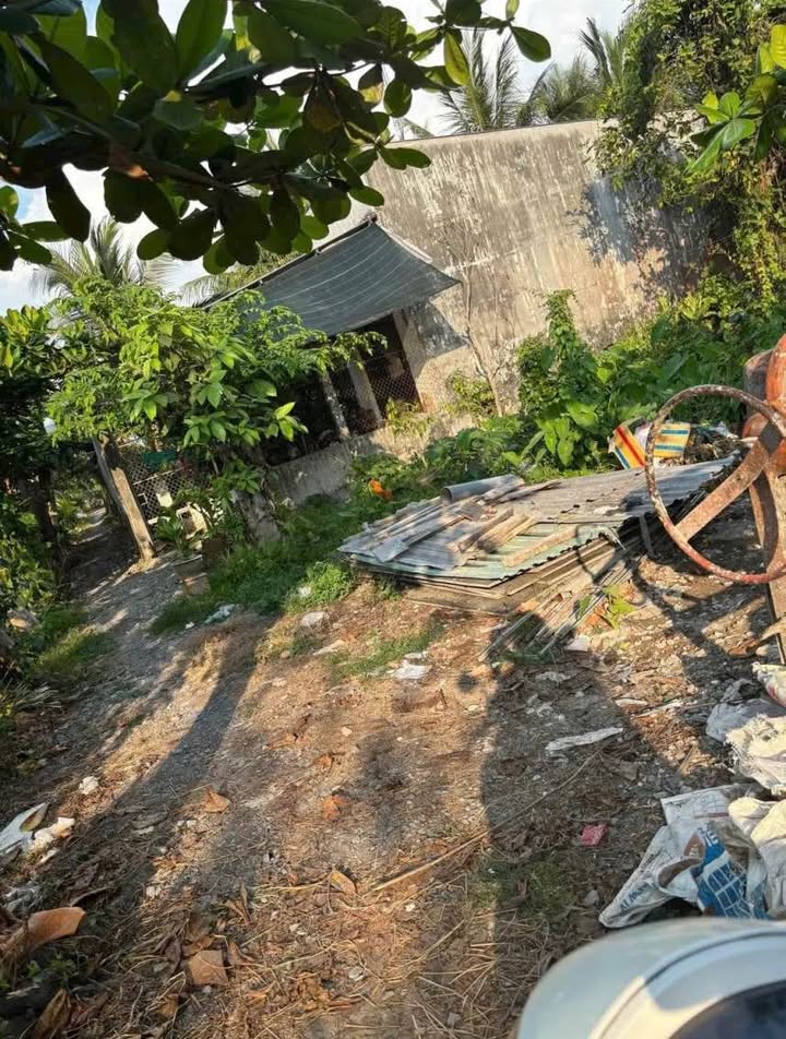 Đất nền Thanh Đức Vĩnh Long 100m² giá 450 triệu - Sổ đỏ chính chủ