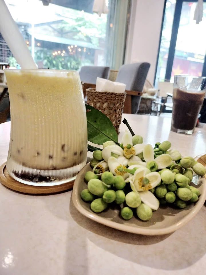 Cho thuê căn hộ 74m² Chung cư 215 Lê Lợi, Nghệ An - Nội thất đẹp, giá 7 triệu