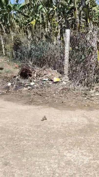 Đất nền Phước An 198m² gần quốc lộ - Sổ đỏ chính chủ