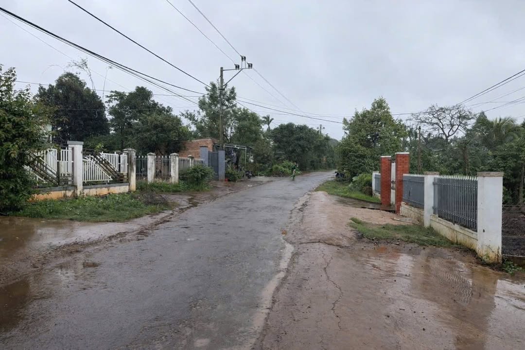 Kho xưởng Buôn Riêng B 1.030m² - Hoạt động ngay