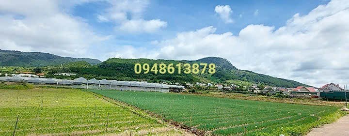 Đất Nền Đức Trọng 3000m² Sổ Đỏ - Gần QL20, Giá 16.5 Tỷ