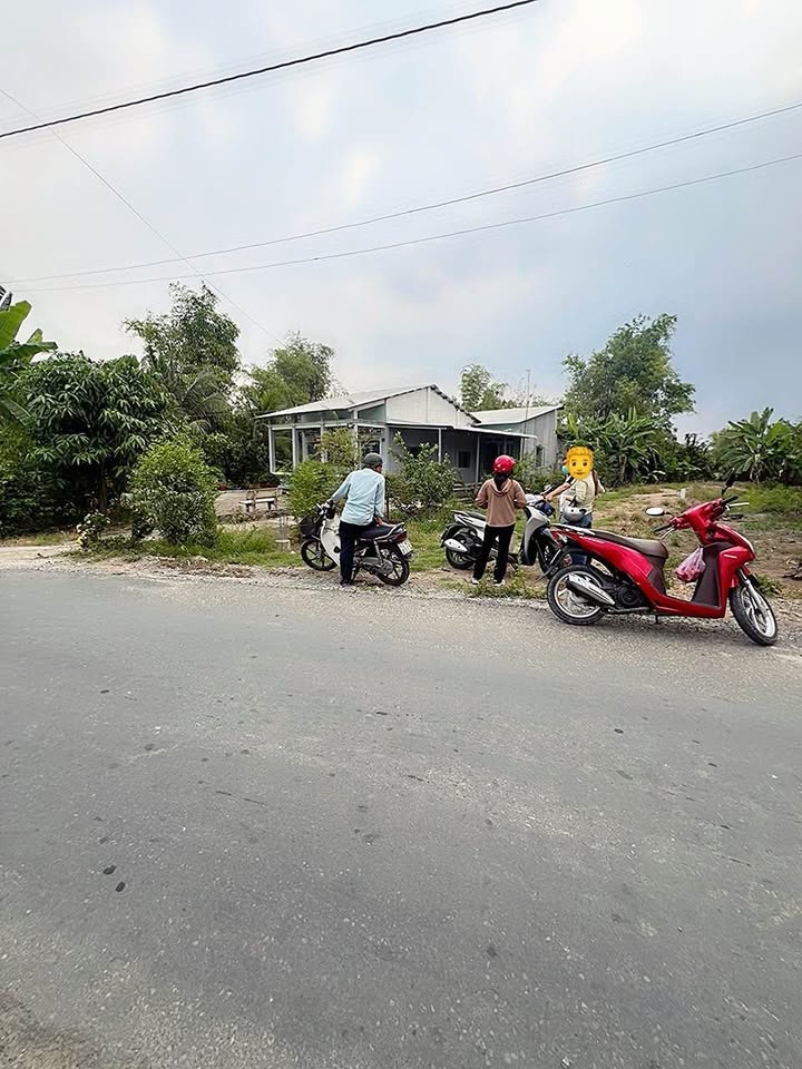 Đất Nền Mặt Tiền Đường Nhựa 209m² Mỹ Lộc, Cần Giuộc - Giá 2.05 Tỷ