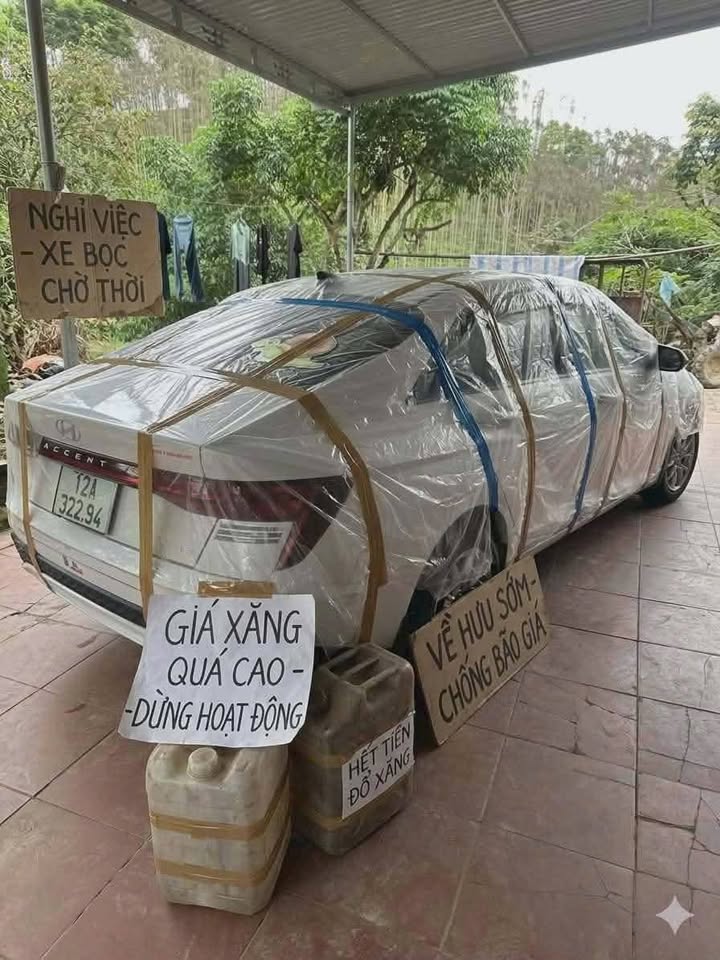 Bán Đất Vàng KDC Đông An Bình Tân 300m² - Giá 8.5 Tỷ