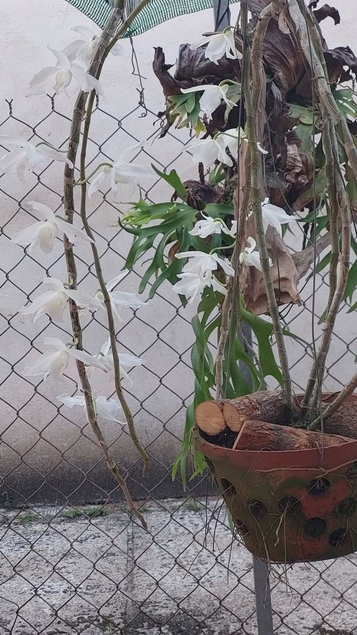 Mặt Tiền Kinh Doanh 140m² Phường Tân Ninh, Tây Ninh - Giá 3.7 Tỷ