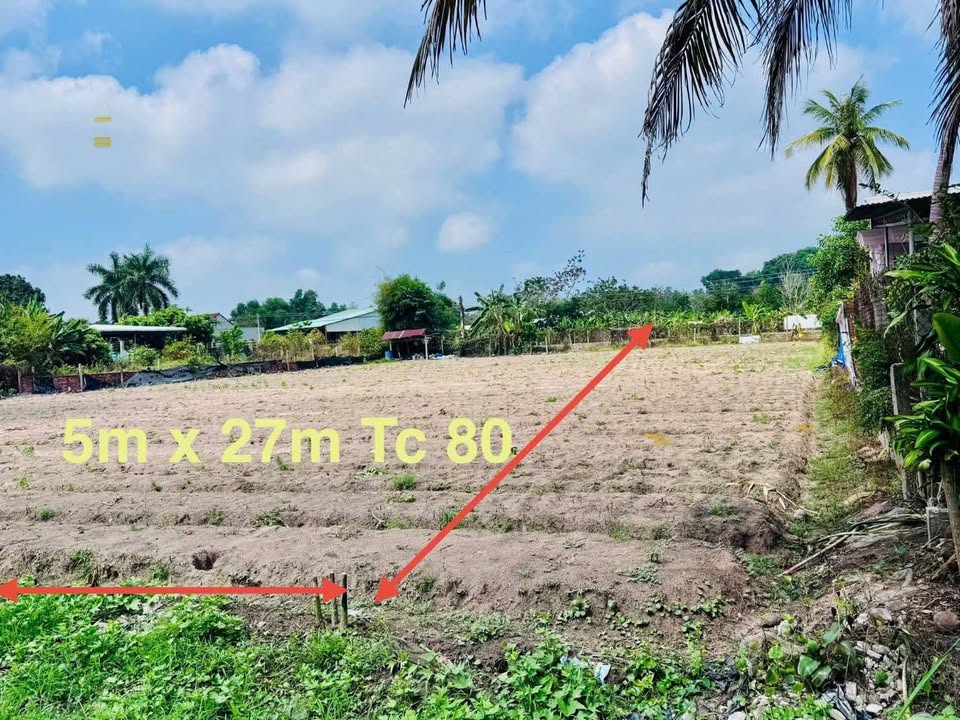 Bán Gấp Đất Vàng Hoa Thành - 135m² Mặt Tiền 5m - Sổ Hồng Sẵn Sàng