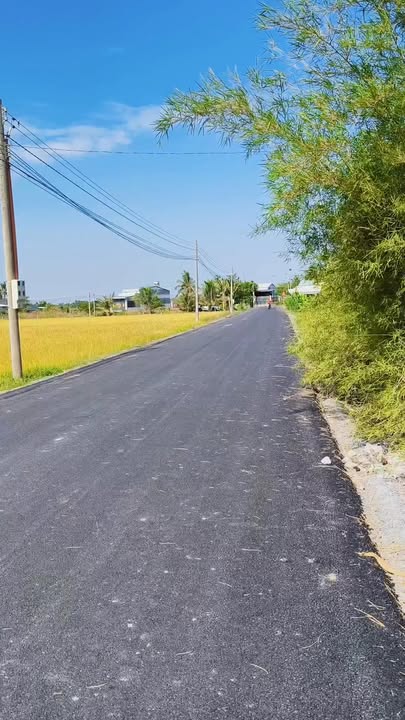 Bán Gấp 2 Lô Đất Vàng Bến Cầu, Tây Ninh - 110m² Thổ Cư, Giá 420 Triệu/Lô