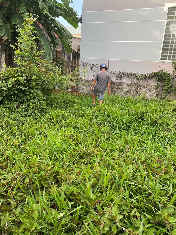 Đất nền Khu phố 5 Mỏ Cày 50m² 350tr - Hạ tầng hoàn thiện