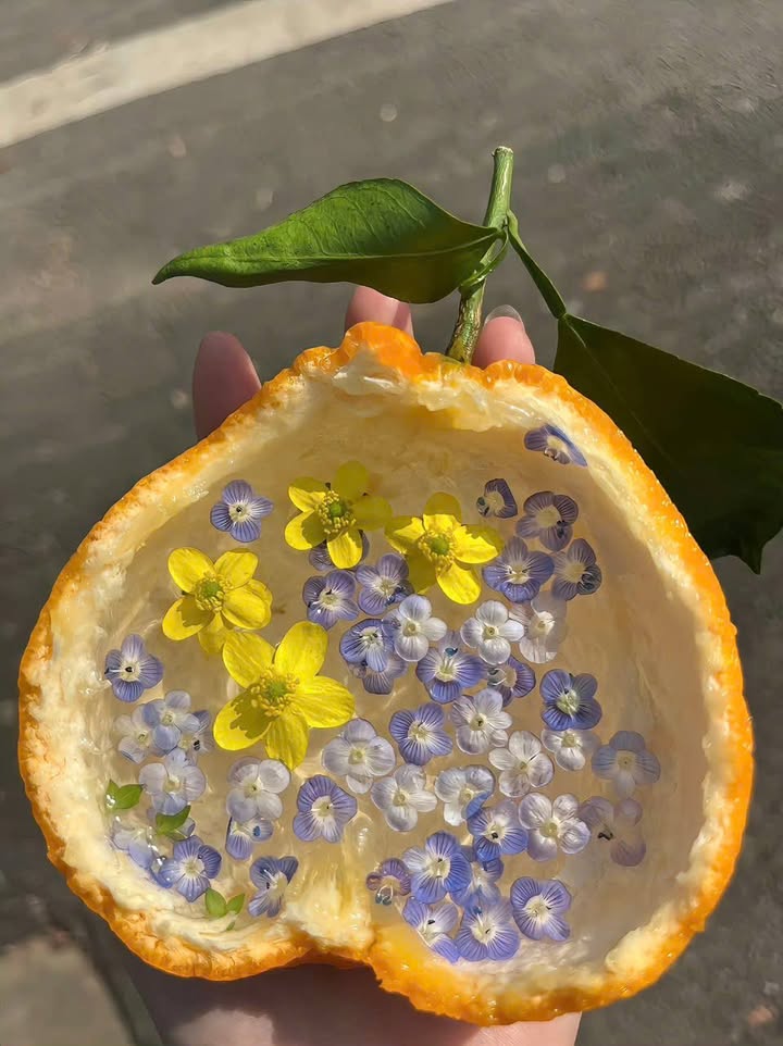 Đất nền Trần Tử Bình Hòa Xuân 100m² 5.5 tỷ – Đường to ô tô