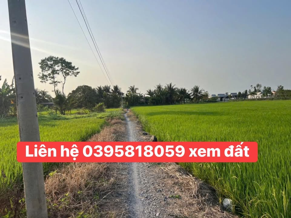 Đất nền Tăng Hòa 3500m² 1.575 tỷ - Sổ đỏ chính chủ