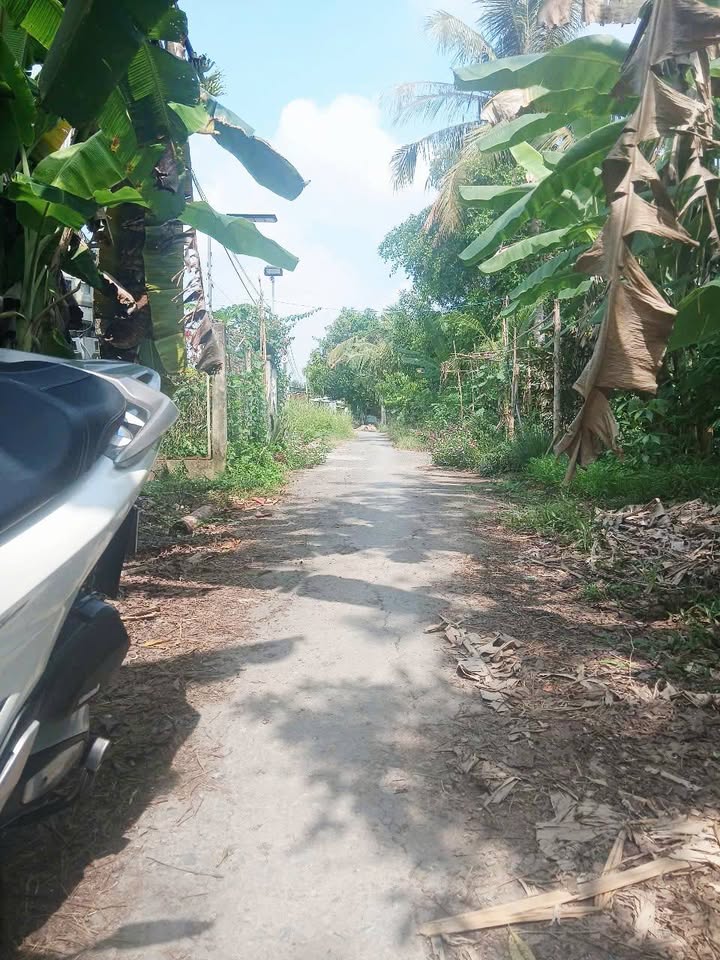 Đất vườn Trường Lạc Ô Môn 550m² 1,5 tỷ - An yên tĩnh lặng