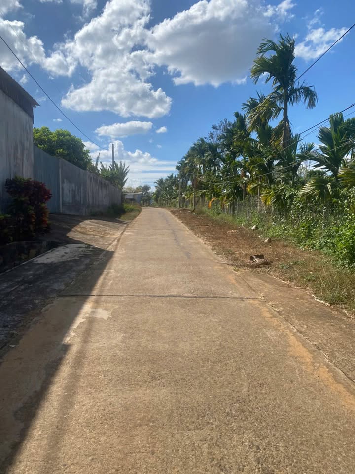 Kho xưởng Ea Nuôl 2.969m² 8.7 tỷ - Hoạt động ngay