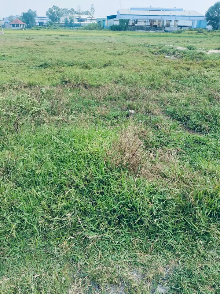 Đất thổ cư 30m² Bình Mỹ, Củ Chi - Giá 250 triệu, Sổ hồng riêng