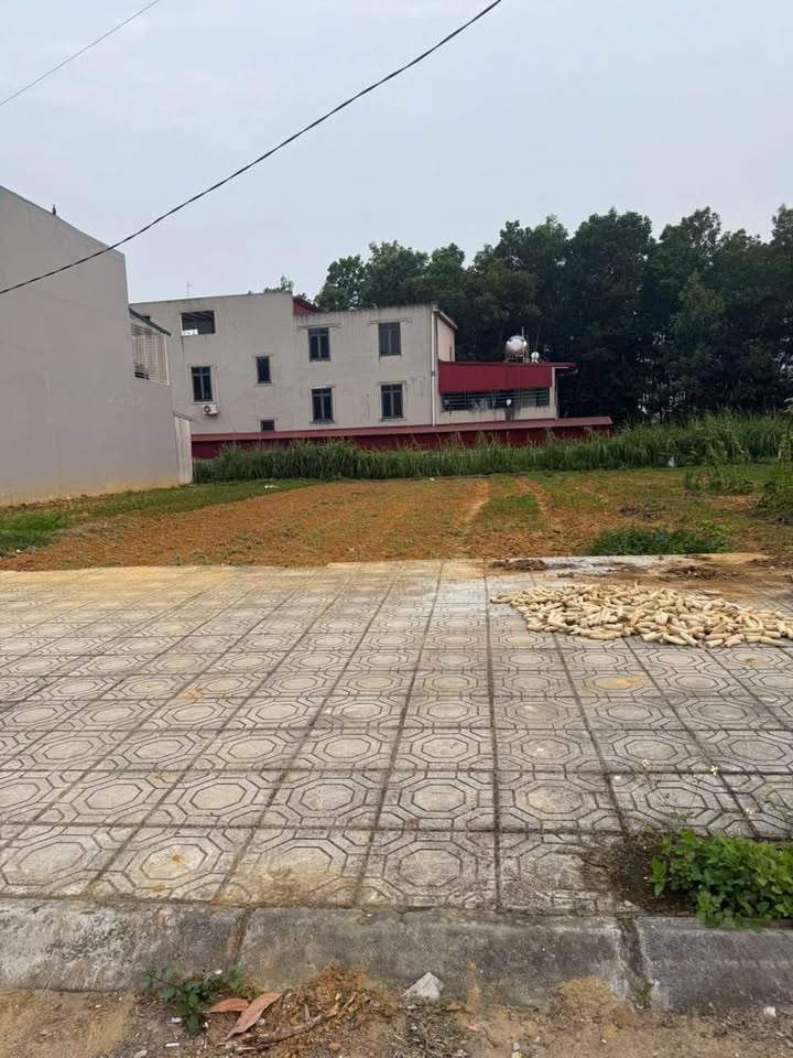 Đất nền Hiệp Hòa Quang Minh 128m² - Sổ đỏ chính chủ