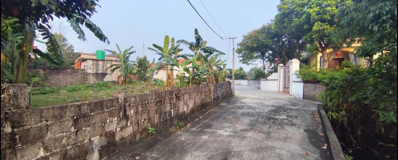 Đất nền Tiên Tiến Phù Cừ 273m² - Tiềm năng tăng giá