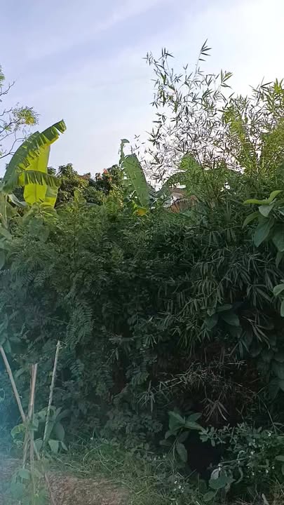 Đất nền Đa Mai Bắc Giang 93m² 1,9 tỷ - Sổ đỏ chính chủ