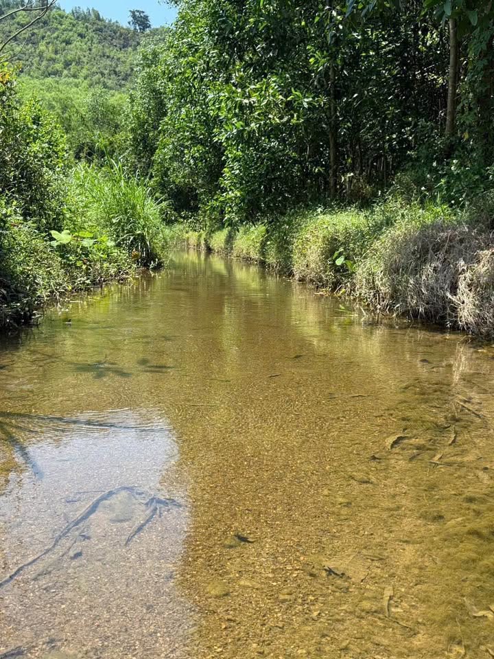 Đất vườn Diên Toàn Diên Khánh 501m² 220 tr - Sổ đỏ chính chủ