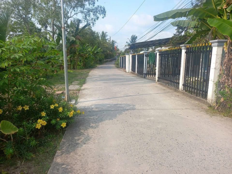 Đất nghỉ dưỡng Phong Điền Cần Thơ 1068m² 3 tỷ - Hạ tầng hoàn thiện