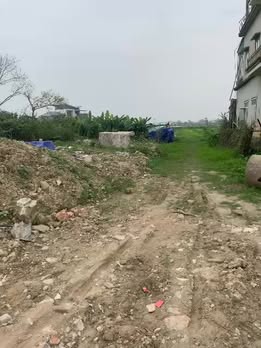 Đất nền Nam Giang Nam Đàn 150m² 5 tỷ - Sổ đỏ chính chủ